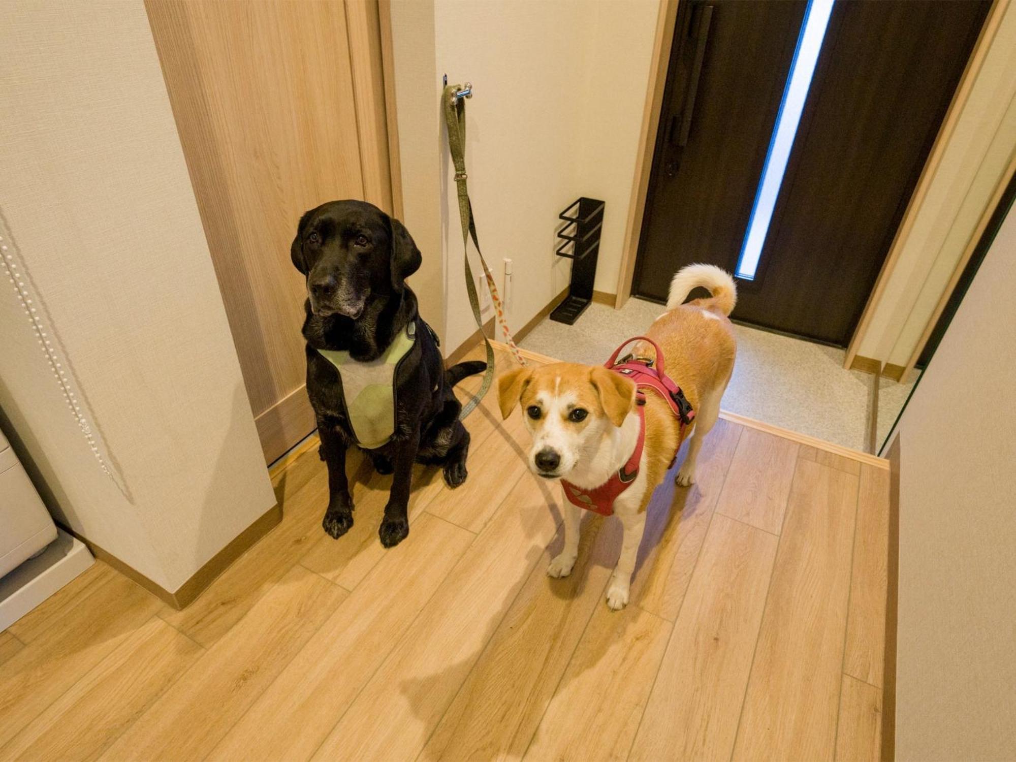 Rakuten Stay Nikko Hoden Capacity Of 4 Persons ภายนอก รูปภาพ