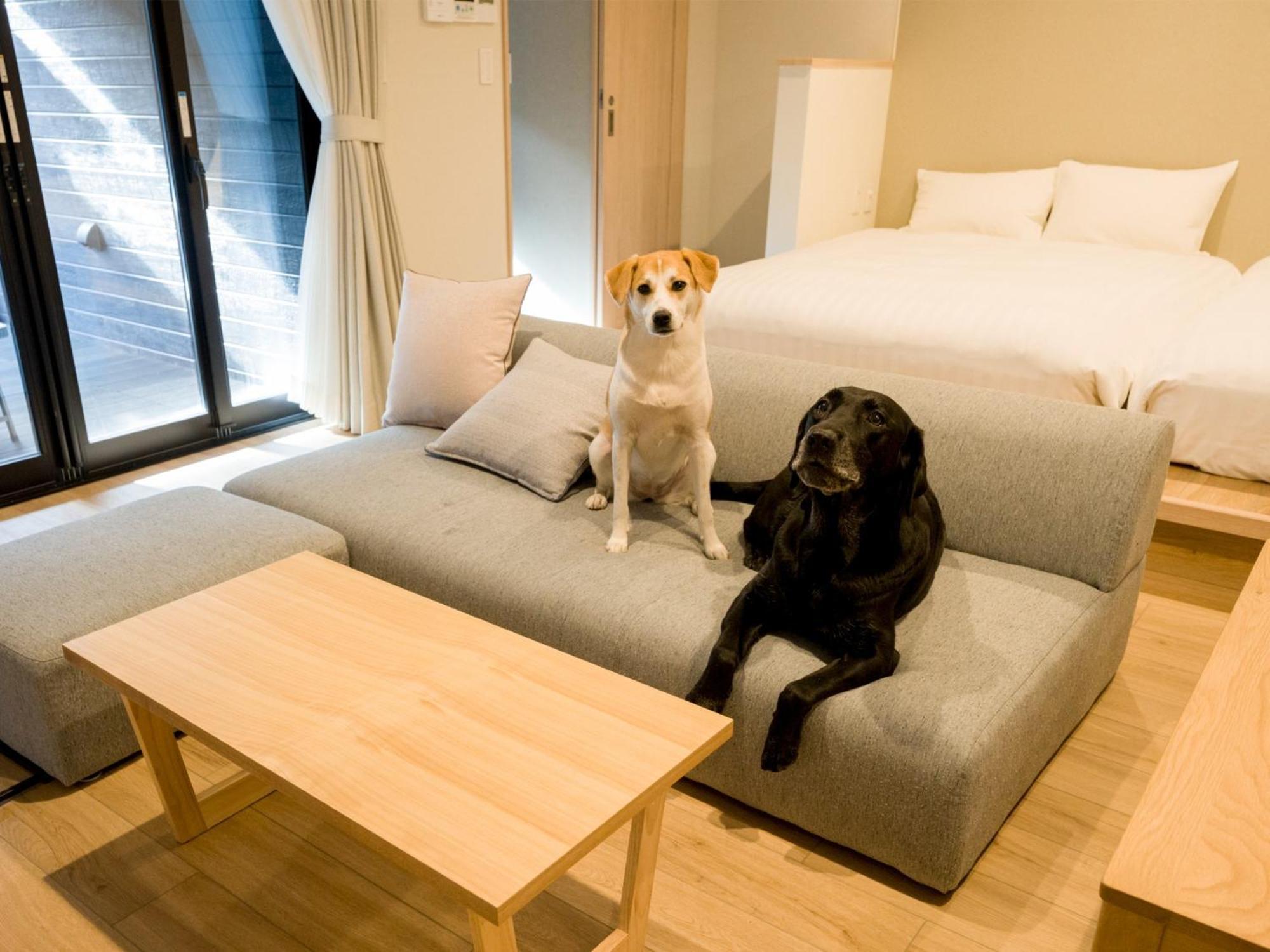 Rakuten Stay Nikko Hoden Capacity Of 4 Persons ภายนอก รูปภาพ